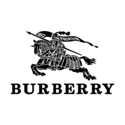 burberry logo png seeklogo 249469 removebg preview